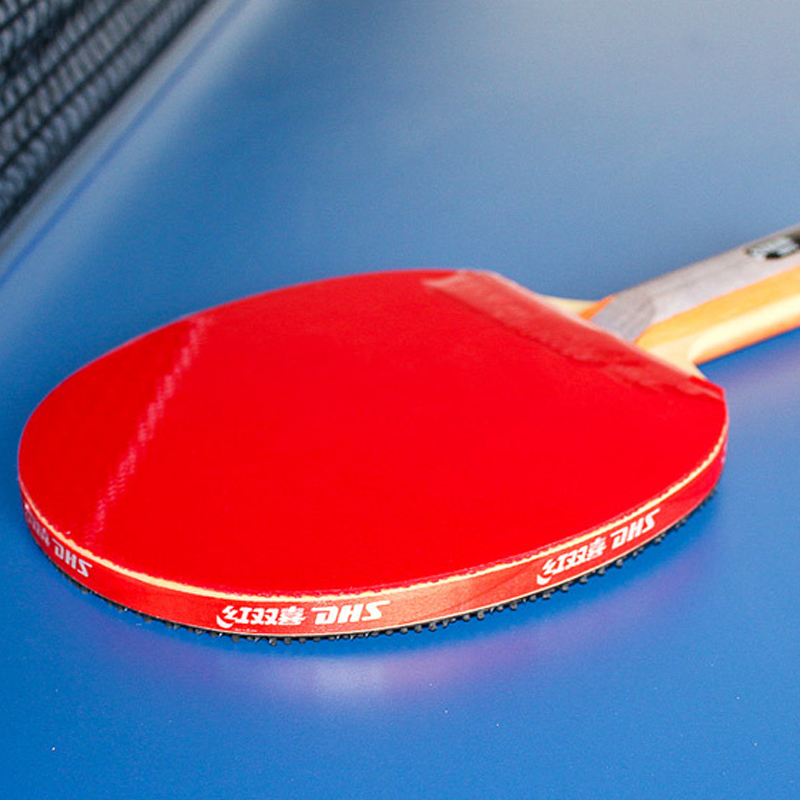 DHS Self-adhesive Table Tennis - Table Tennis Loki review and price